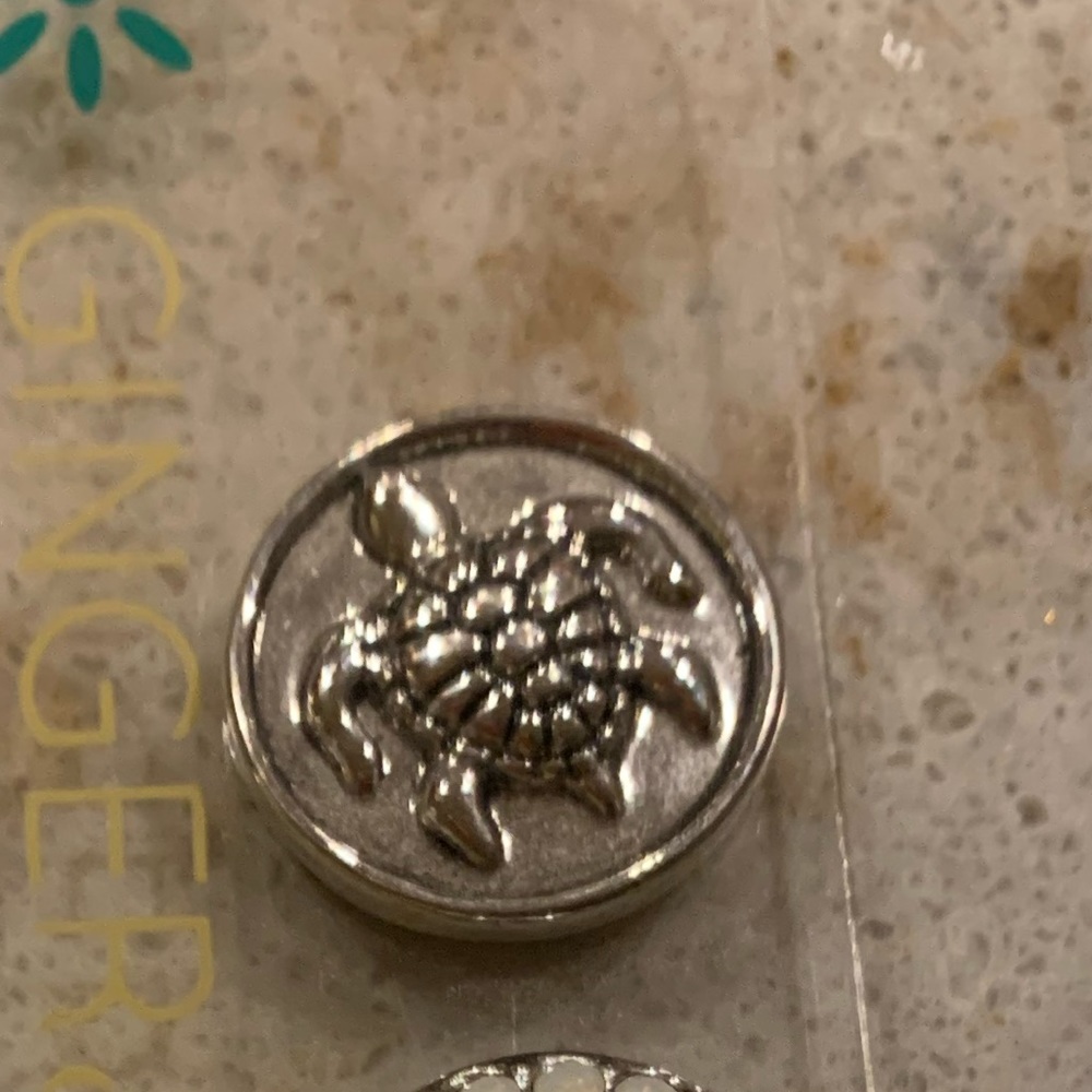 Sea turtle gingersnap